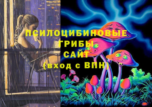 круглые Видное