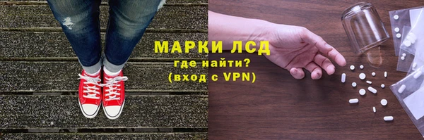 прущие грибы Гусев