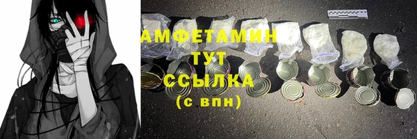 гидра Ветлуга